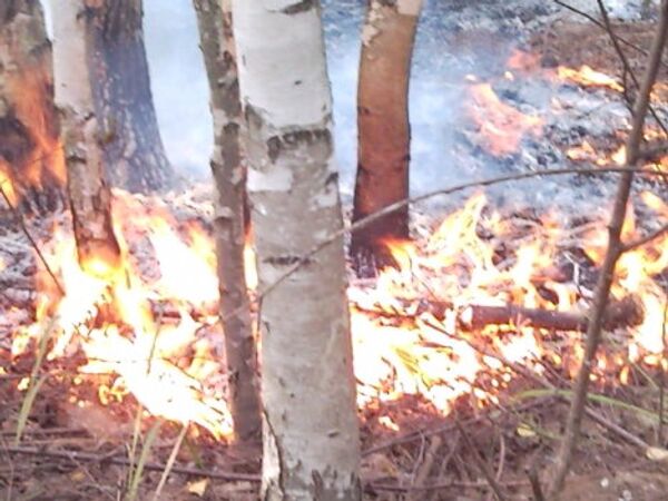  Тушение лесных пожаров в Егорьевске