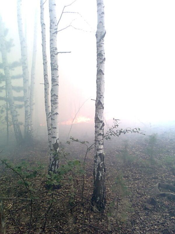 Тушение лесных пожаров в Егорьевске