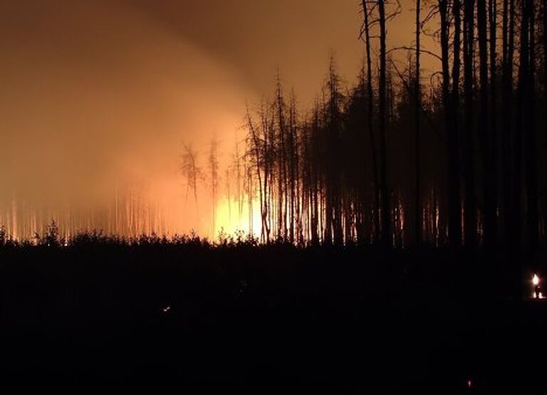 Пожар под Воронежем