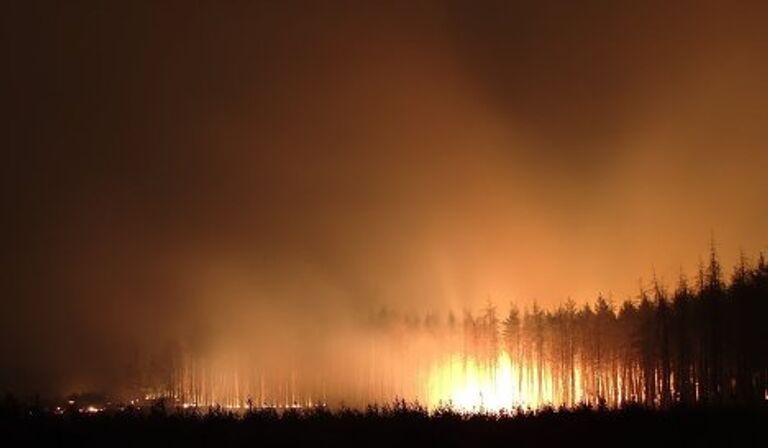 Пожар под Воронежем