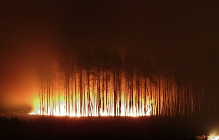 Пожар под Воронежем