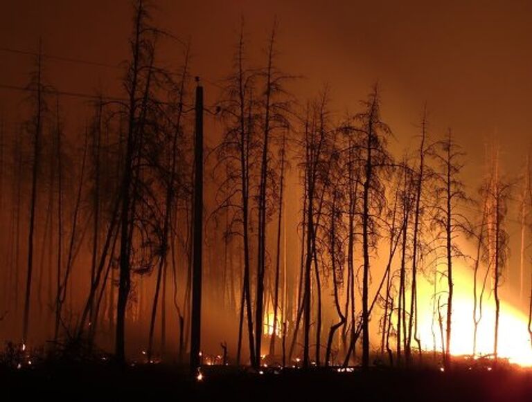 Пожар под Воронежем