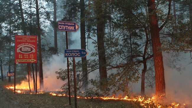 Пожары в Воронеже