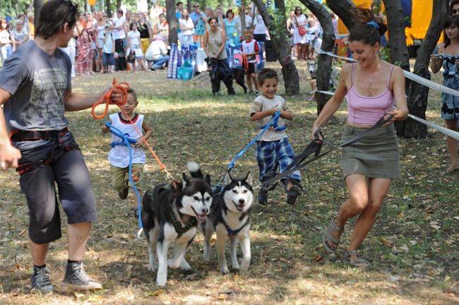 Спортивный праздник Московский спорт в Лужниках