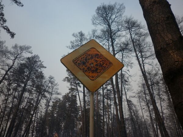 Лесные пожары в поселке Лесное под Тольятти