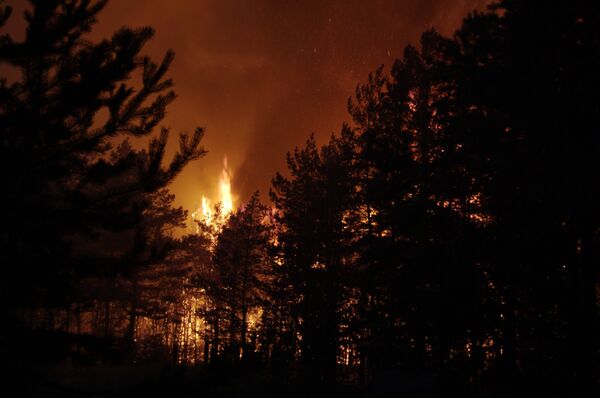 Лесные пожары в лесной зоне около Подтпоселка недалеко от Тольятти