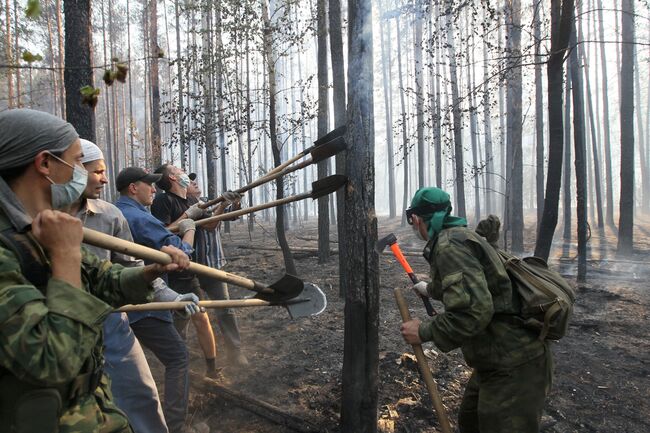 Добровольцы из числа местных жителей тушат лесные пожары в окрестностях поселка Сомово Воронежской области.