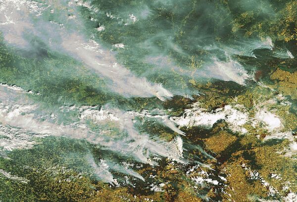 Пожары и дым. Вид из космоса