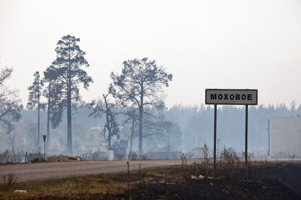 Последствия пожара в поселке Моховое Луховицкого района