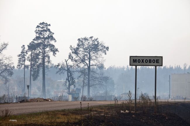 Последствия пожара в поселке Моховое Луховицкого района