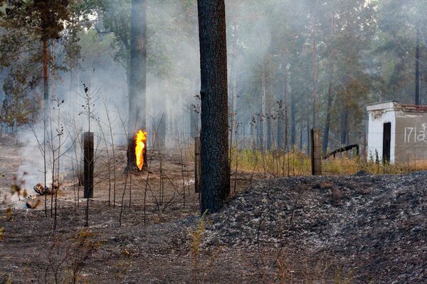  Лесные пожары в Тольятти