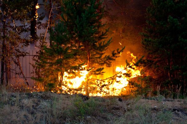 Лесные пожары в Тольятти. Архив