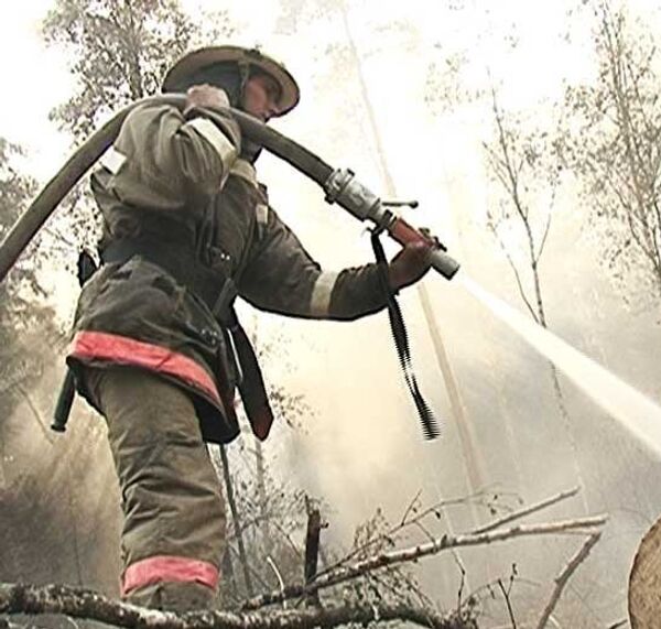 Семь лесных пожаров одновременно полыхают в Ногинском районе Подмосковья