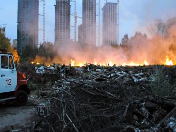 В Москве несколько часов тушили пожар в парке Лосиный остров