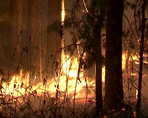 Пламя природных пожаров добралось до Луховицкого района