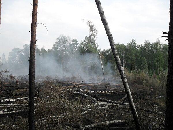 Пожар в Раменском лесу