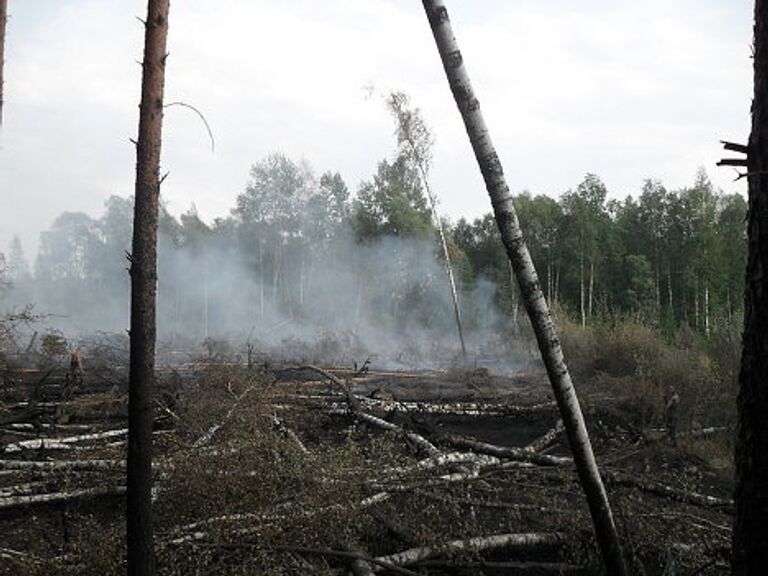 Пожар в Раменском лесу