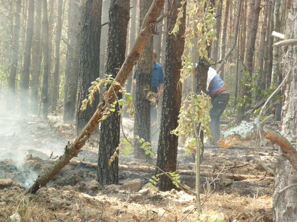 Местные жители тушат пожар в селе Труслейка в Ульяновской области