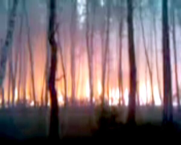 Лесные пожары в Рязанской области
