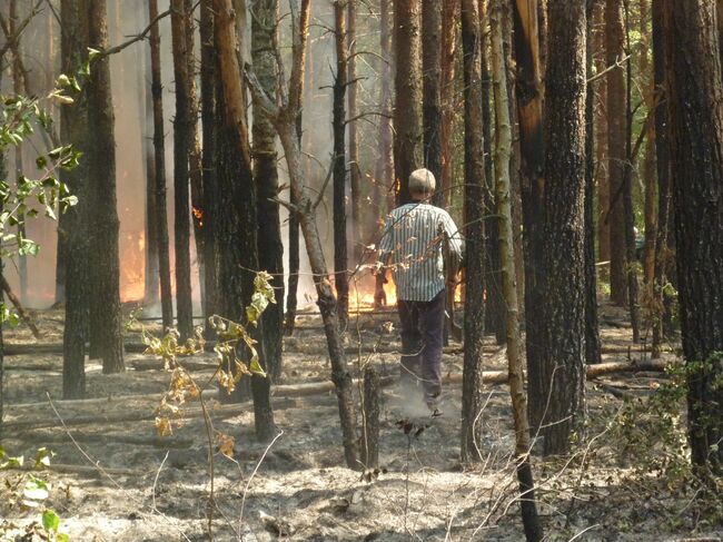 Местные жители тушат пожар в селе Труслейка в Ульяновской области