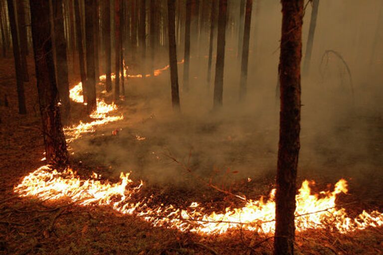Ситуация с лесными пожарами в России