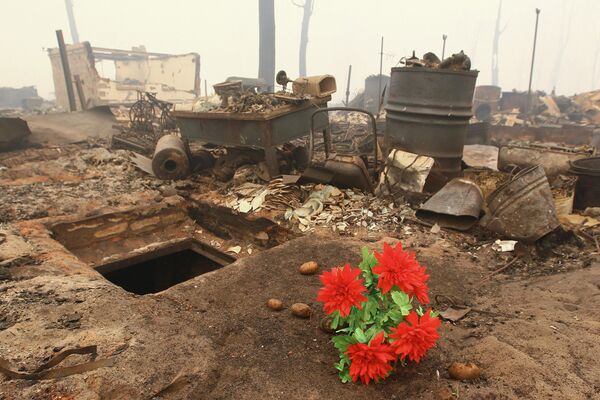 Уничтоженное пожаром село Моховое в Егорьевском районе Московской области. Архив
