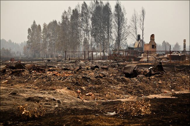 Добровольцы в Рязанской области. Архив