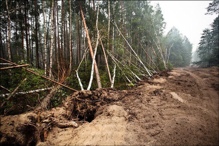 Добровольцы в Рязанской области