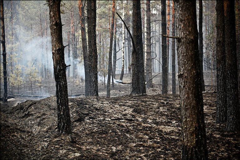 Добровольцы в Рязанской области