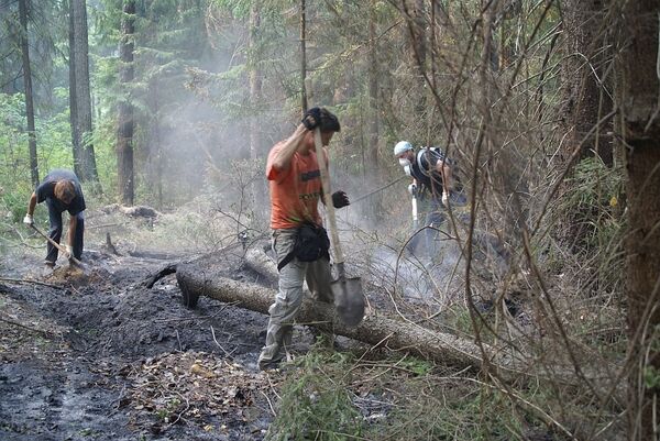 Добровольцы тушат лесные пожары