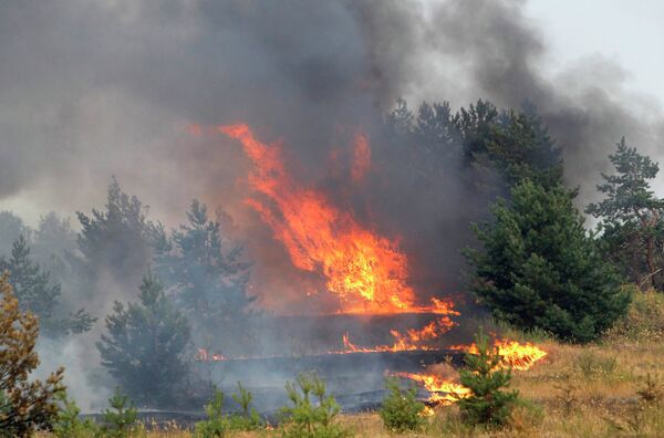 Лесные пожары под Воронежем