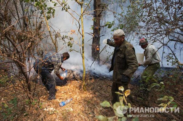 Тушение лесного пожара в Московской области