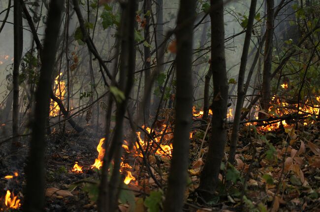  Борьба с пожарами в Коломне. Архив