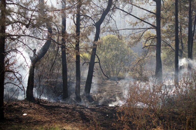 Борьба с пожарами в Коломне