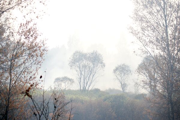 Дым от лесного пожара