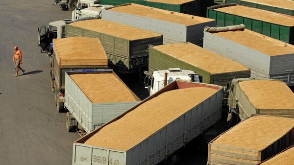 Запрет на экспорт зерна из России практически не затронет страны ЕС