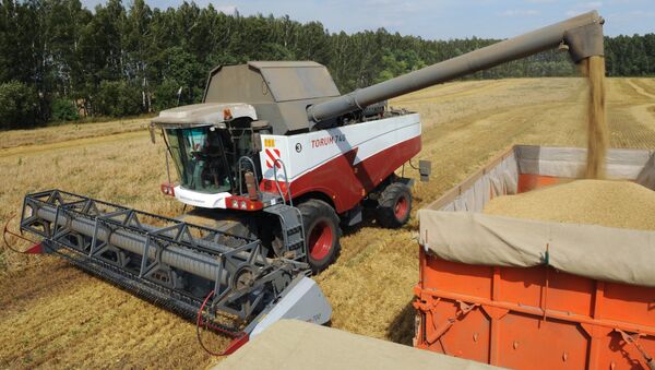 Россия собрала 40,1 млн тонн зерна с 54% посевных площадей