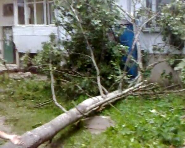 Ураган в  Пскове