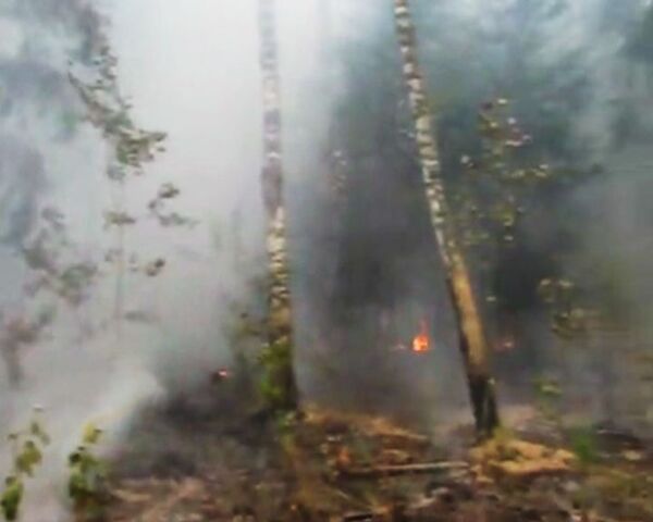 Добровольцы тушат пожар в Чувашии