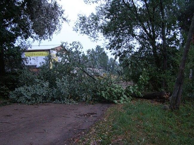 Последствия урагана в Новгородской области. Город Пестово