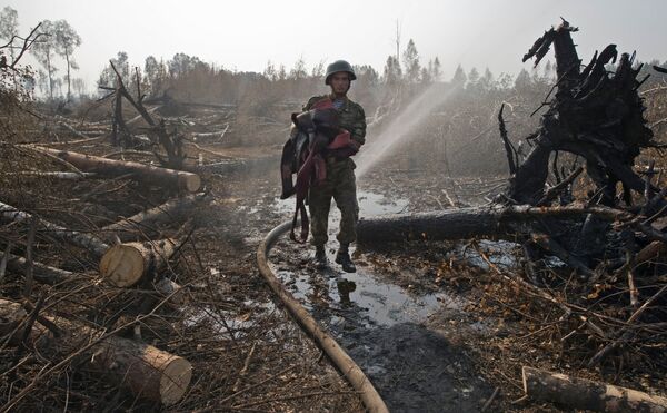 Последствия лесного пожара в деревне Васютино Павлово-Посадского района Московской области