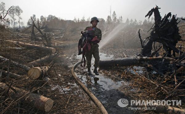 Последствия лесного пожара в деревне Васютино Павлово-Посадского района Московской области