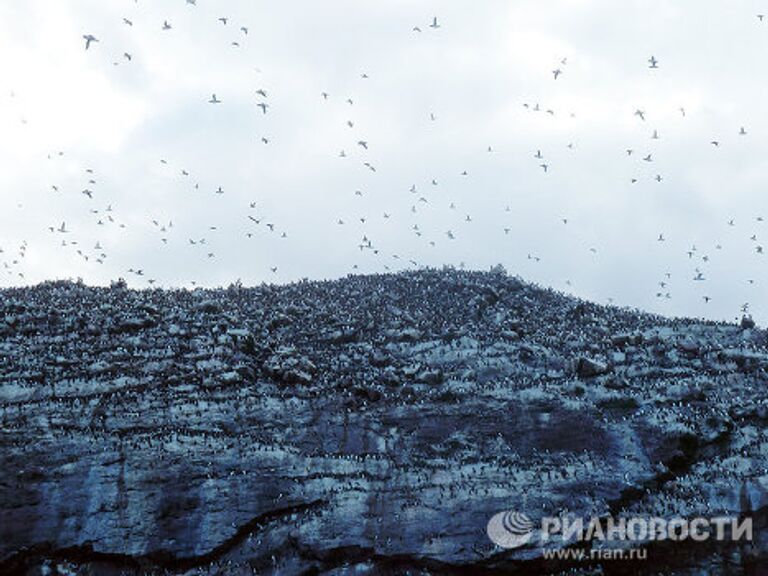 ФОТОПУТЕШЕСТВИЕ С РИА НОВОСТИ: Ньюфаундленд - канадский край света