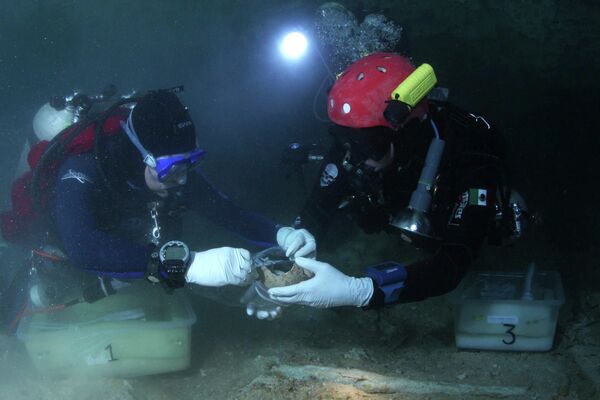 Мексиканские археологи обнаружили останки человека возрастом более 10 тысяч лет