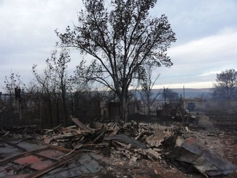 Последствия пожаров в Волгоградской области