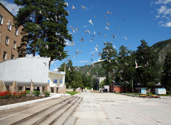 Поселок Черемушки 