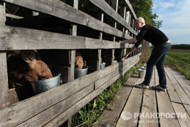 Государственное научно-исследовательское учреждение Сумароковская лосиная ферма