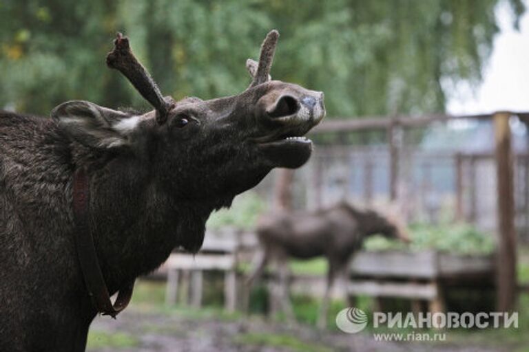 Государственное научно-исследовательское учреждение Сумароковская лосиная ферма