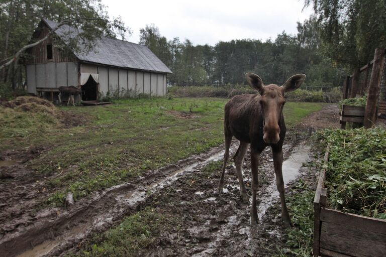 Государственное научно-исследовательское учреждение Сумароковская лосиная ферма