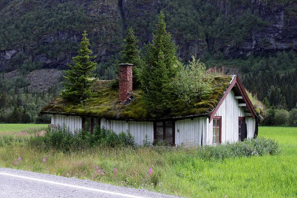 Трава на крышах домов Норвегии